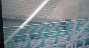 Беременная женщина прыгнула в холодную реку с моста в Нур-Султане 13 женщин