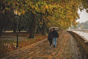 Дождь и снег: погода по Казахстану на 20 октября 18 дождь
