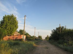 Охранник дачного общество подозревается в убийстве 12 scale 1200 1 1