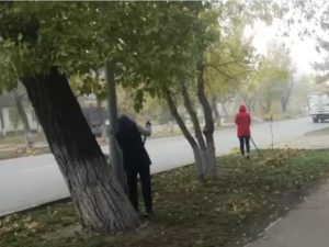 Чиновников Семея наказали за то, что учителей отправили подметать улицы 7 чиновник