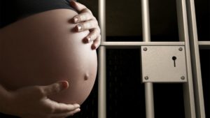 В ЗКО чиновницу в положении осудили на 2,5 года 16 чиновница