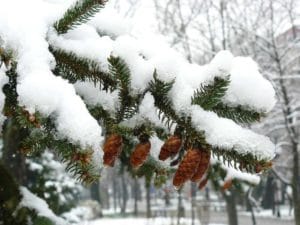 Погода в Казахстане на 14 декабря 24 Казахстан погода