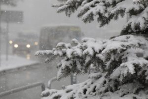 В снегу и в тумане. Погода в Казахстане 7 февраля 11 снег