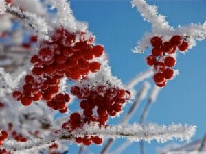Снегопад обещают синоптики в Казахстане 9 февраля 13 снег